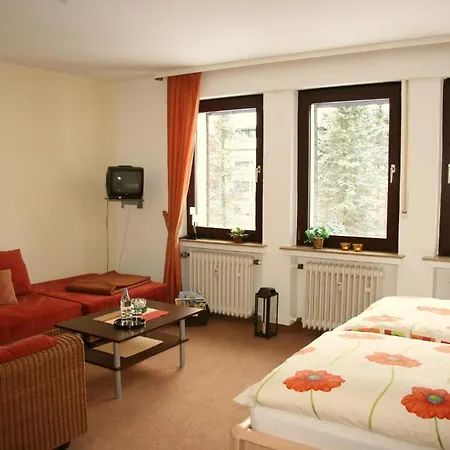 Ferienwohnungen Albers Winterberg Zimmer foto